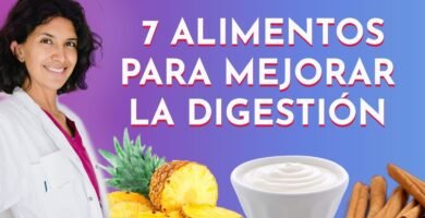 Qué alimentos son recomendados para reptiles domésticos sin afectar su digestión