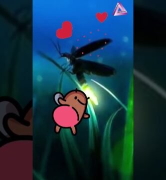 Signos de que tu reptil está listo para reproducirse con temperatura controlada