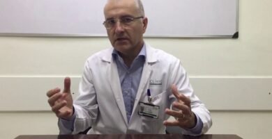 Síntomas de ansiedad en reptiles domésticos - consejos de expertos