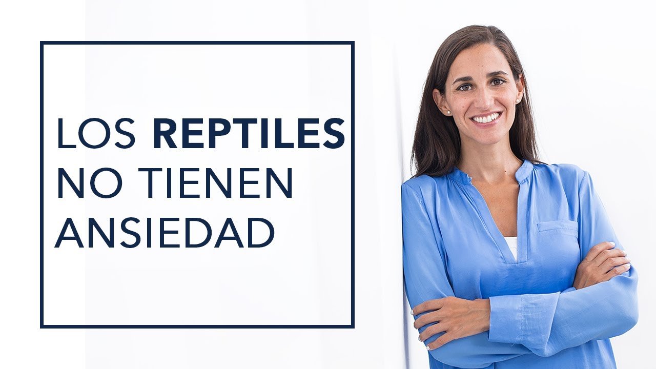 Síntomas de ansiedad en reptiles domésticos durante el día