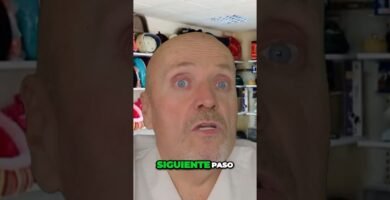 Síntomas de ansiedad en reptiles domésticos explicado por veterinarios