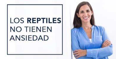 Síntomas de ansiedad en reptiles domésticos para dueños primerizos