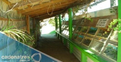 Accesorios personalizados para reptiles en La Paz