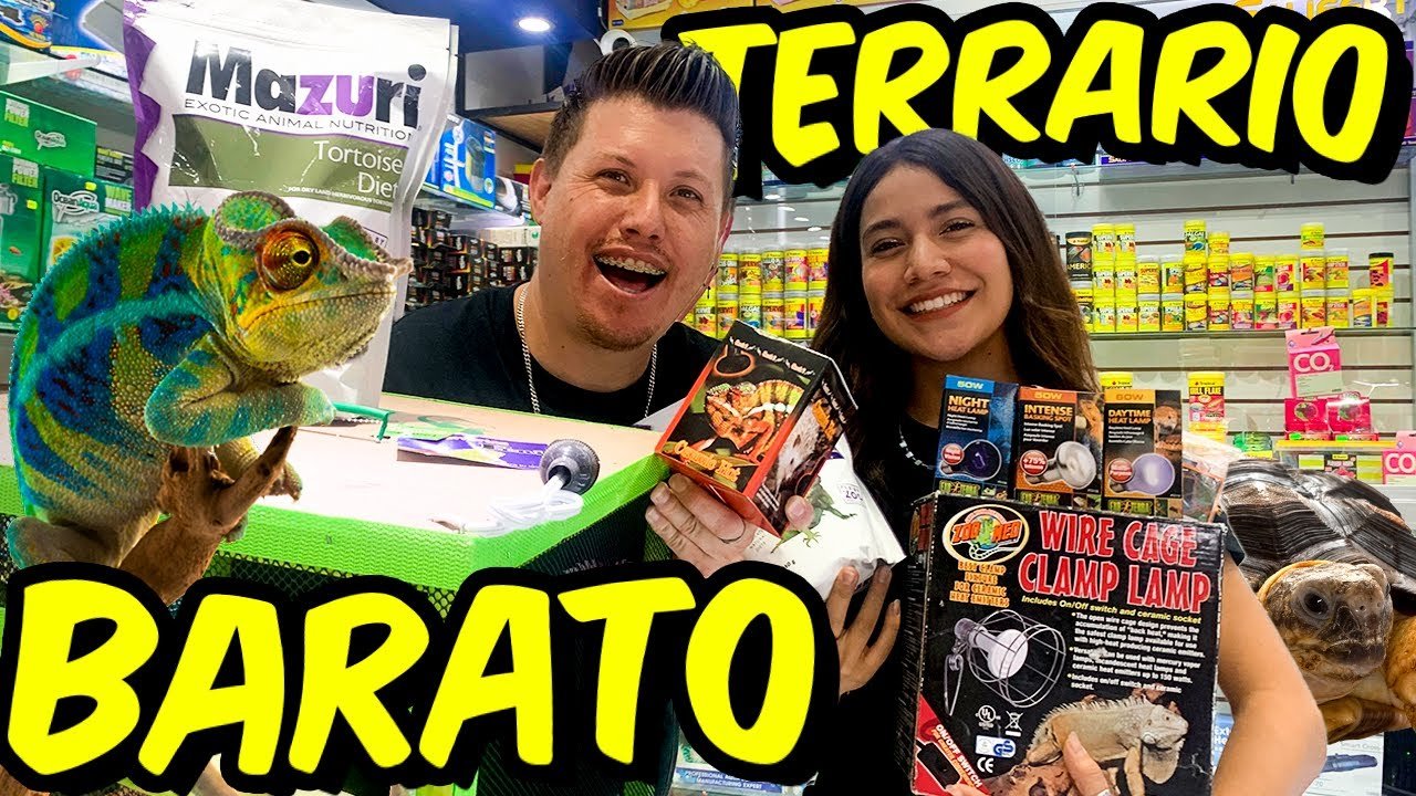 Ciclo reproductivo de reptiles en terrarios con incubadora artificial