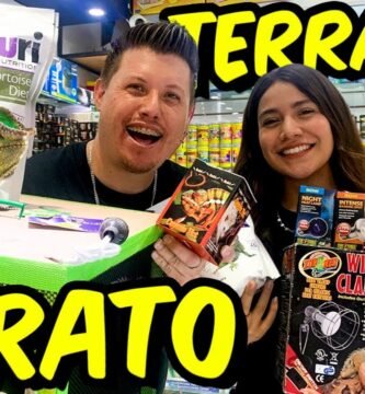 Ciclo reproductivo de reptiles en terrarios con temperatura controlada