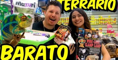 Ciclo reproductivo de reptiles en terrarios con temperatura controlada