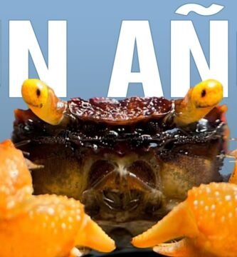 Ciclo reproductivo de reptiles en terrarios en clima tropical