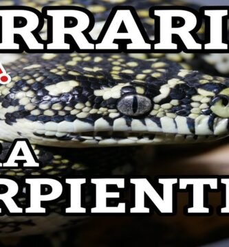 Ciclo reproductivo de reptiles en terrarios paso a paso