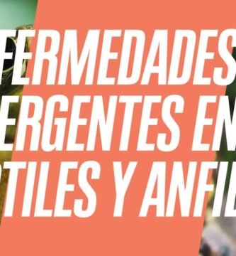 Cómo actúan los reptiles al estar enfermos explicado por veterinarios