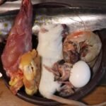 Cómo alimentar a un reptil carnívoro de forma segura en verano