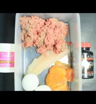Cómo alimentar a un reptil carnívoro de forma segura sin necesidad de suplementos