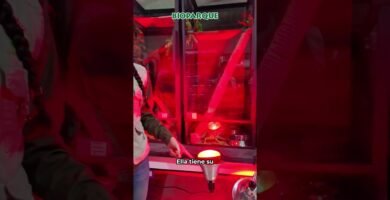 Cómo preparar un ambiente adecuado para reptiles en etapa reproductiva en invierno