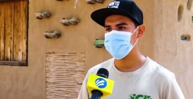 Cómo saber si una hembra reptil está embarazada con bajo presupuesto