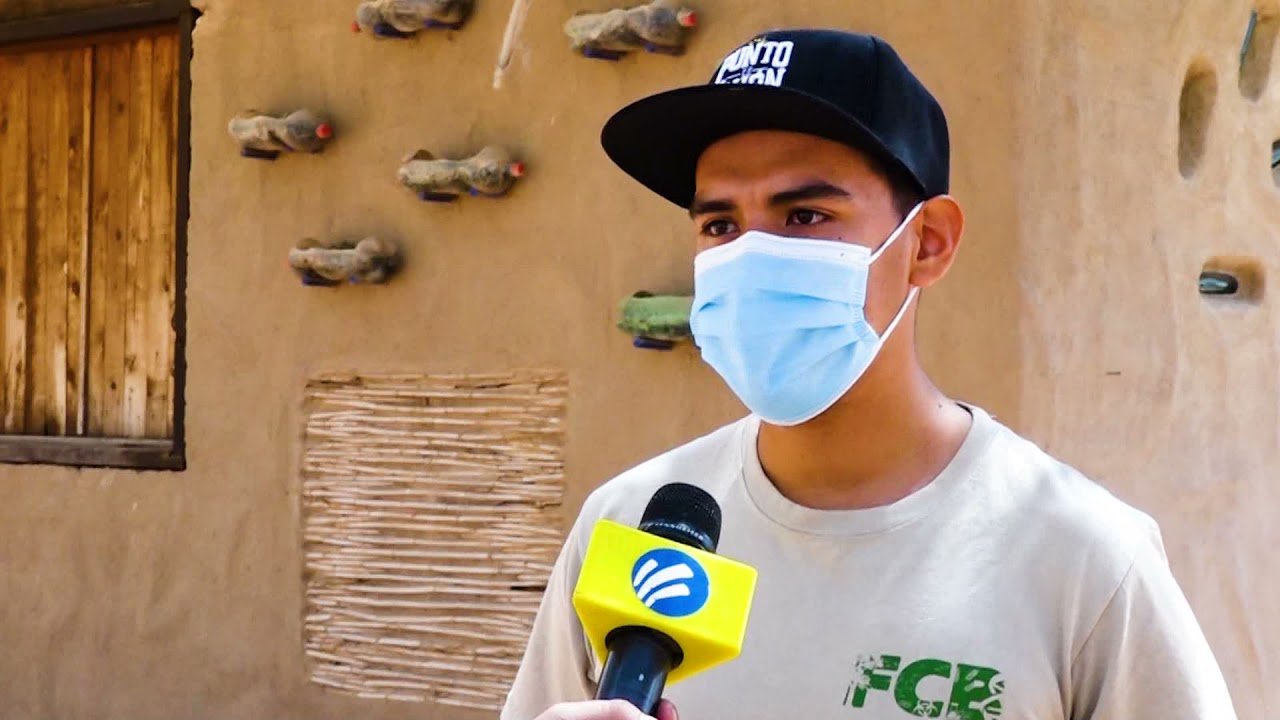 Cómo saber si una hembra reptil está embarazada con bajo presupuesto