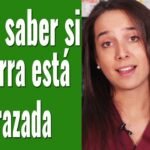 Cómo saber si una hembra reptil está embarazada explicada por veterinarios