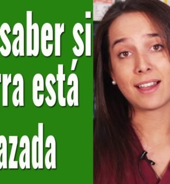 Cómo saber si una hembra reptil está embarazada explicada por veterinarios