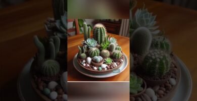 Decoraciones tropicales para terrarios en Santiago