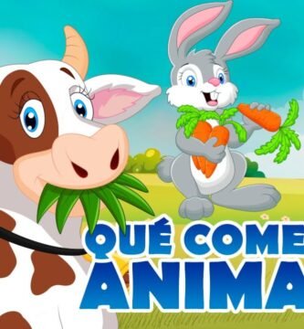 Dieta ideal para reptiles herbívoros en casa según especie