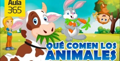 Dieta ideal para reptiles herbívoros en casa según especie