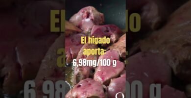 Dieta ideal para reptiles herbívoros en casa sin necesidad de suplementos