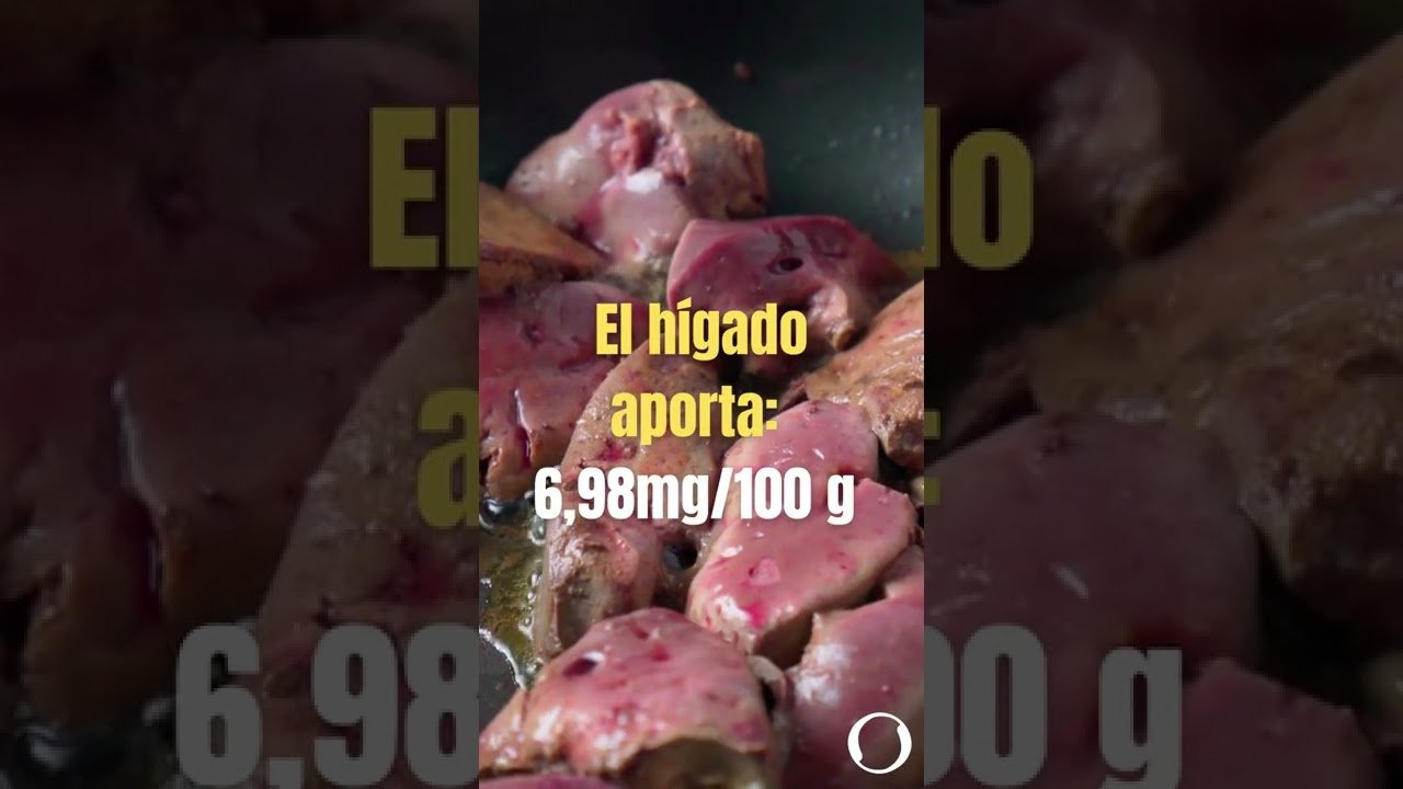 Dieta ideal para reptiles herbívoros en casa sin necesidad de suplementos