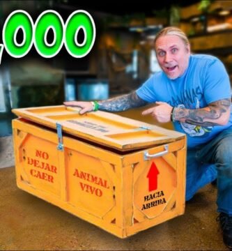 Dónde comprar casas de reptiles seguras y duraderas adaptadas a reptiles grandes