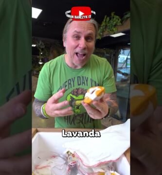 Dónde comprar casas de reptiles seguras y duraderas en climas cálidos