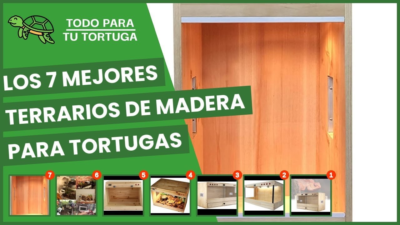 Dónde comprar casas de reptiles seguras y duraderas para tortugas