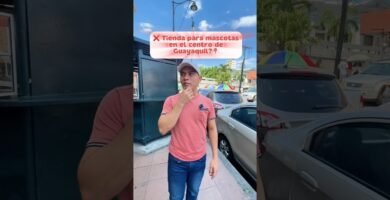 Dónde comprar ropa para reptiles en Guayaquil