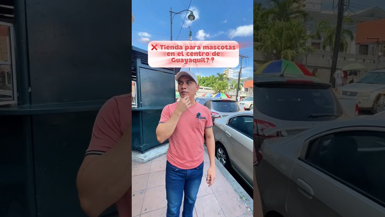 Dónde comprar ropa para reptiles en Guayaquil