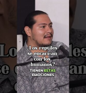 El comportamiento de los reptiles cuando tienen hambre explicado por veterinarios