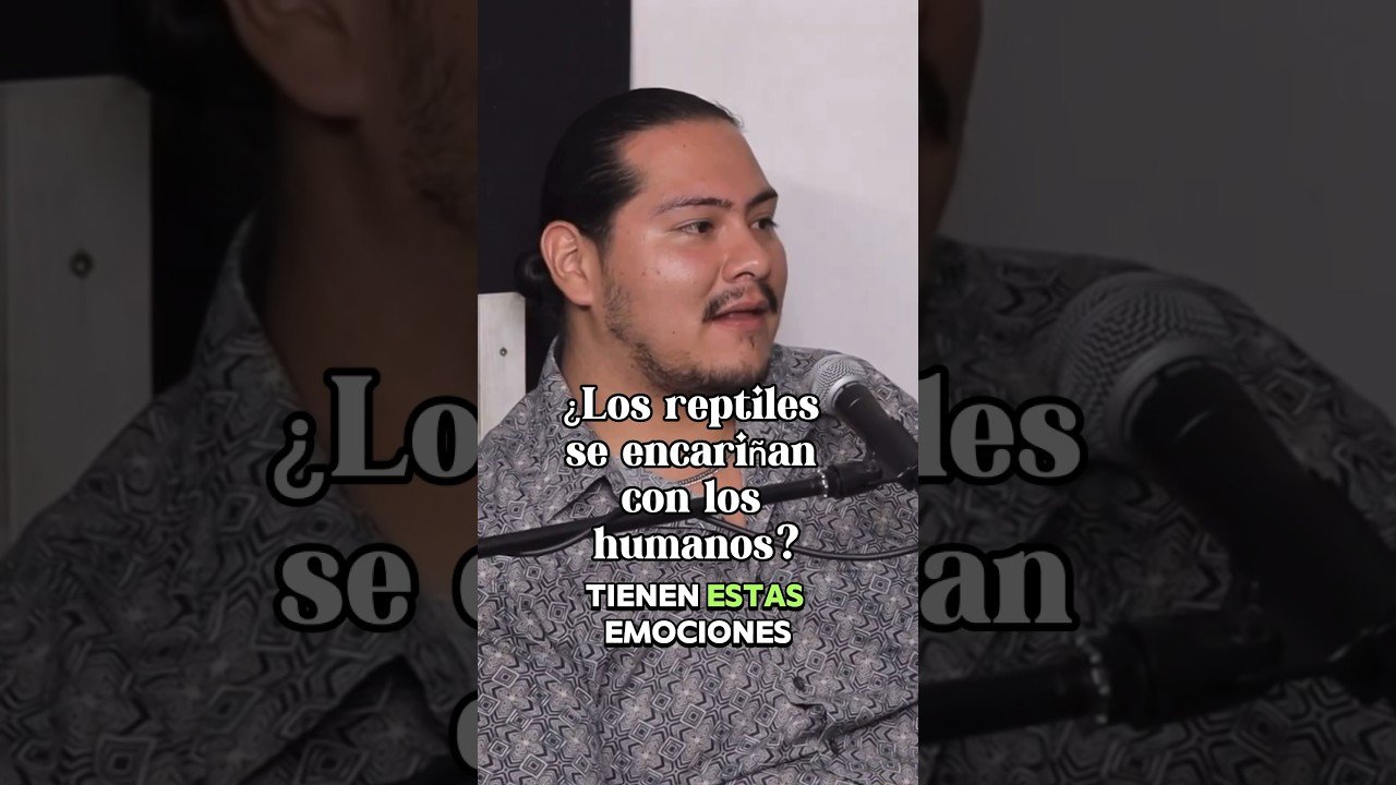 El comportamiento de los reptiles cuando tienen hambre explicado por veterinarios