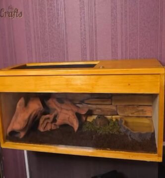 Ideas de hábitats decorativos para reptiles en Guayaquil