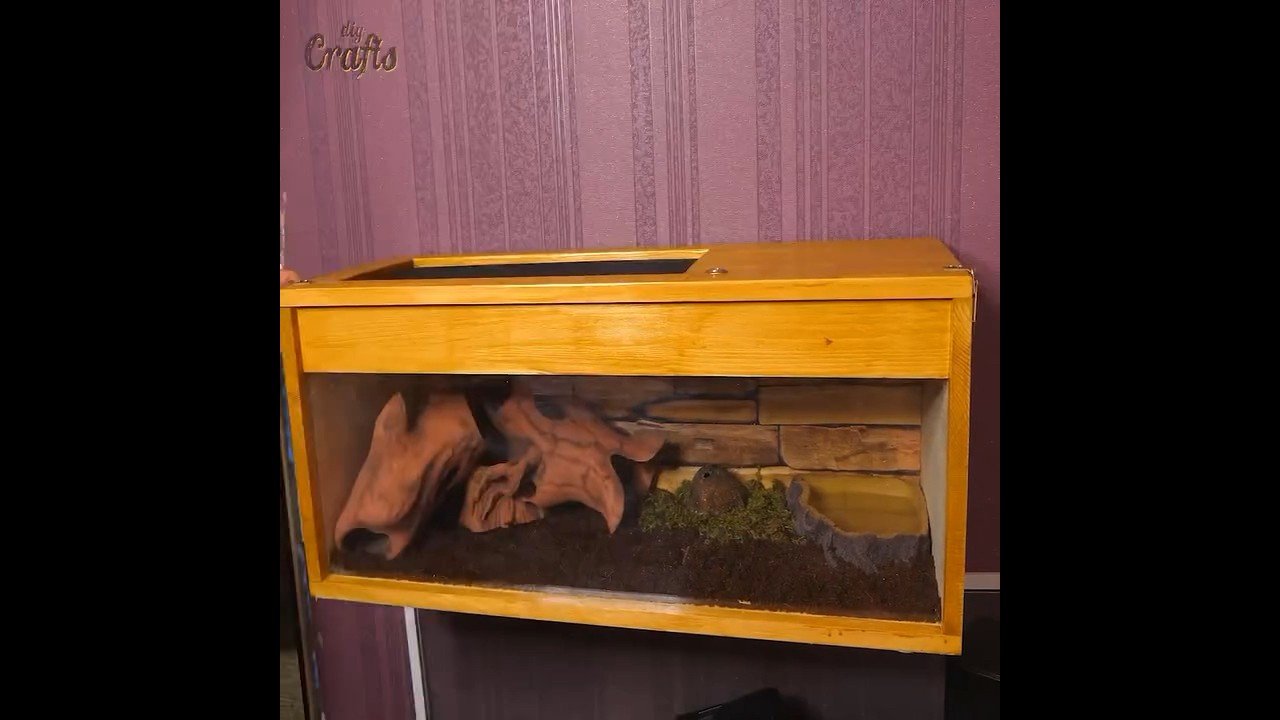 Ideas de hábitats decorativos para reptiles en Guayaquil