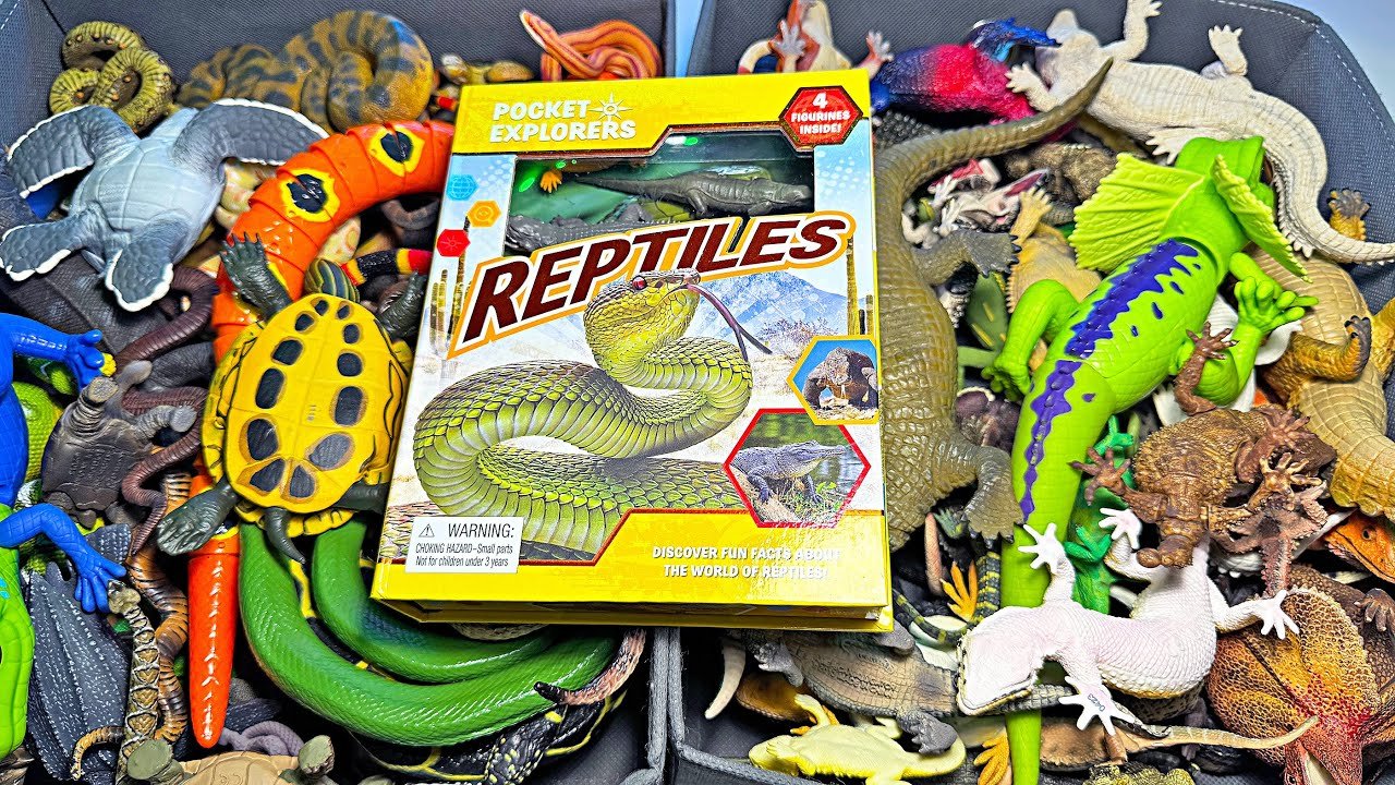 Juguetes para reptiles activos en Santiago