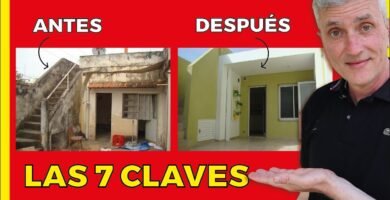 Qué necesita una casa de reptil para estar bien equipada con bajo presupuesto