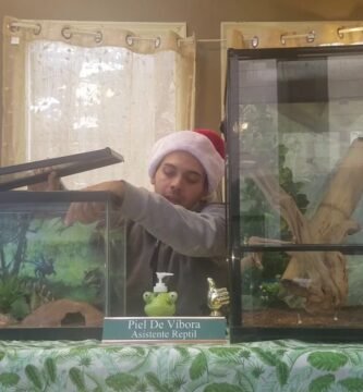 Qué necesita una casa de reptil para estar bien equipada para principiantes