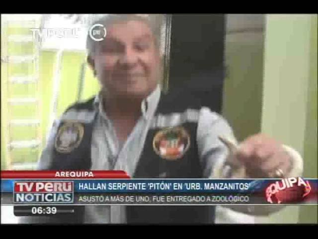 Accesorios personalizados para reptiles en Arequipa