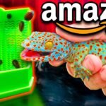 Accesorios personalizados para reptiles en Trujillo
