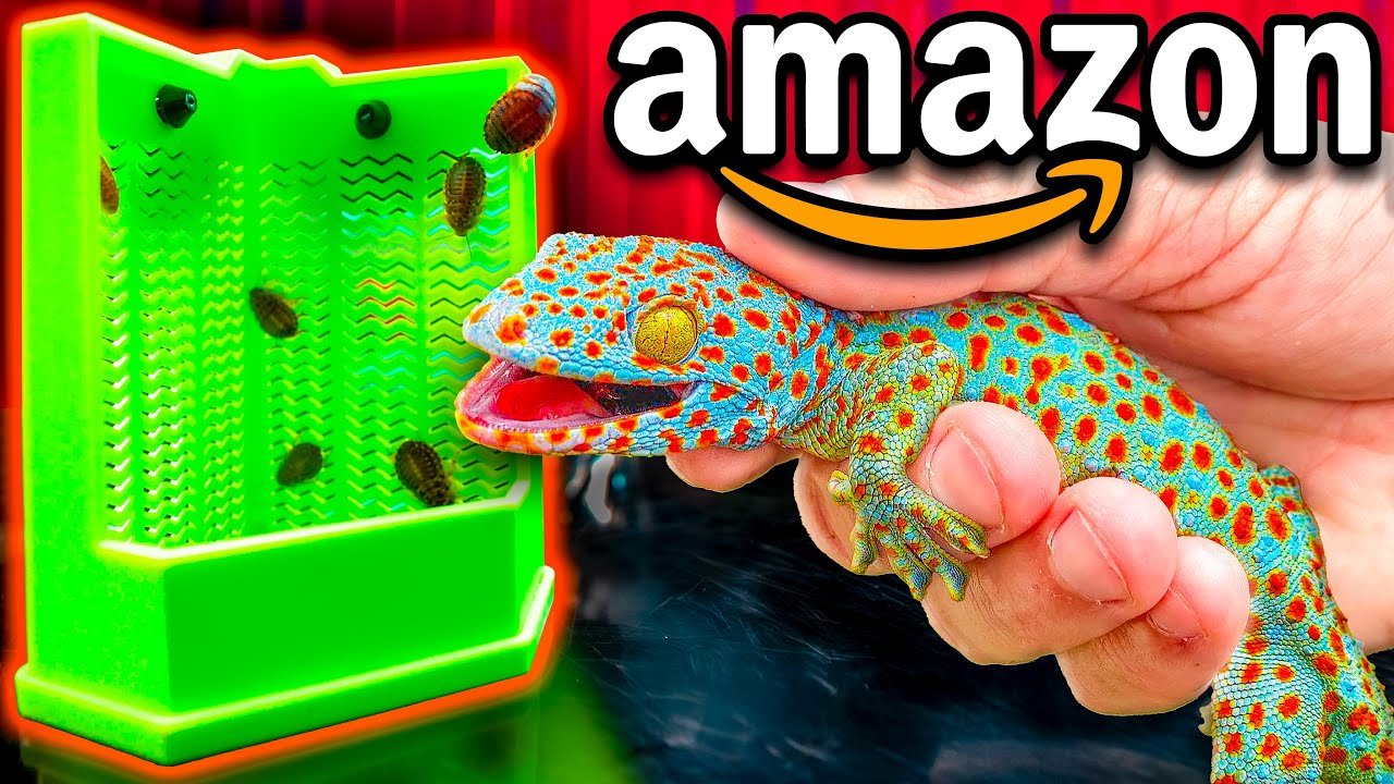 Accesorios personalizados para reptiles en Trujillo