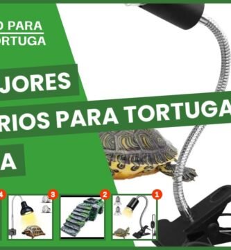 Accesorios seguros para tortugas terrestres en Arequipa