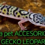 Accesorios térmicos para geckos en Arequipa
