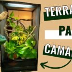 Casas de reptiles hechas en casa: guía paso a paso para camaleones