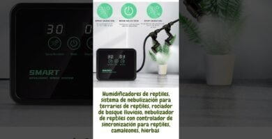 Cómo actúan los reptiles al estar enfermos en terrarios grandes