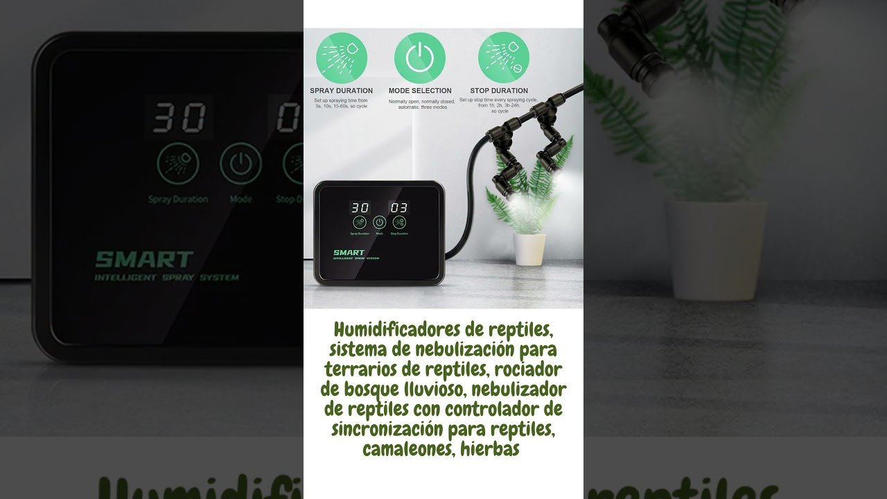 Cómo actúan los reptiles al estar enfermos en terrarios grandes