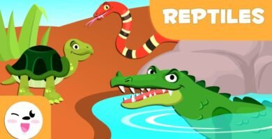 Cómo actúan los reptiles al estar enfermos para niños