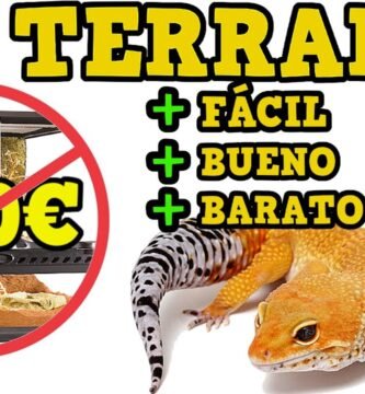 Cómo armar una casa para tu reptil desde cero con materiales ecológicos