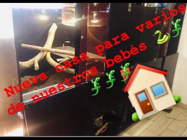 Cómo armar una casa para tu reptil desde cero duraderas