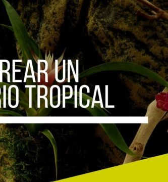 Cómo armar una casa para tu reptil desde cero en jardines