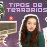 Cómo elegir el mejor equipamiento para tu terrario de reptil con bajo presupuesto